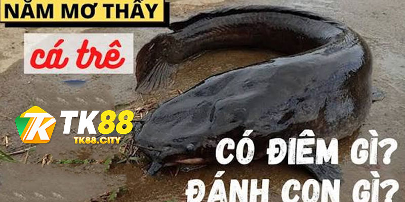 XỔ SỐ TK88 - jafixu.fun - jafixu.fun